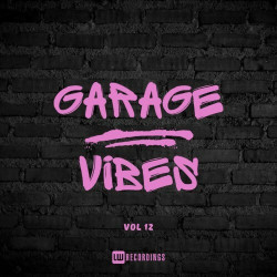 Garage Vibes, Vol. 12  