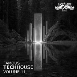 Famous Techhouse, Vol. 11  
