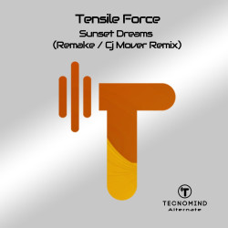 Sunset Dreams (Remake / Cj Mover Remix)