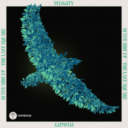 Sunny Side Up / The Last Square
