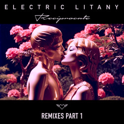 Reciprocate (Roy Rosenfeld & Chaim Remixes)