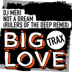 Not A Dream (Rulers Of The Deep Remix)