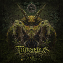 Forest & Hvorost