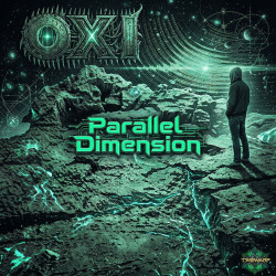 Parallel Dimension