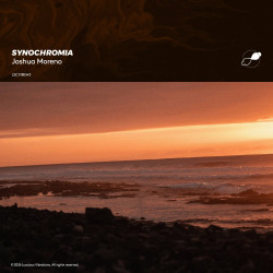 Synochromia