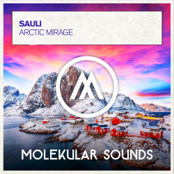 Arctic Mirage
