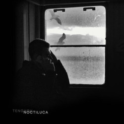 NOCTILUCA