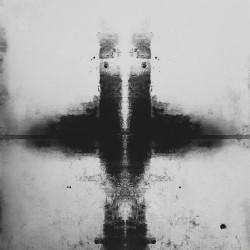 Perception of Reality - Vol. 6