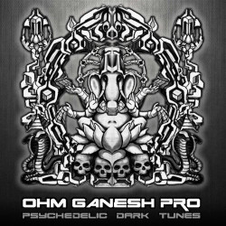 Ohm Ganesh Pro