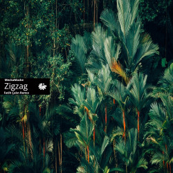 Zigzag (Fatih Çalın Remix)