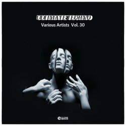 Ultimate Techno Volume30  