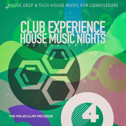 Club Experience: House Music Nights, Vol. 4  