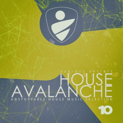 House Avalanche, Vol. 10  