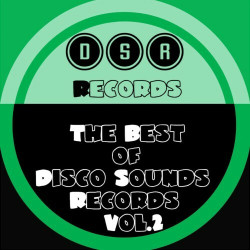 The Best of Disco Sounds Records, Vol. 2  