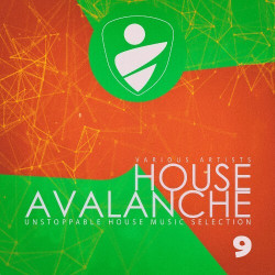 House Avalanche, Vol. 9  