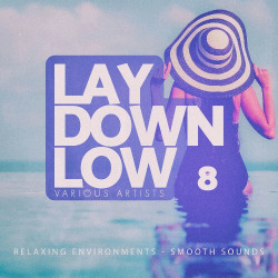 Lay Down Low, Vol. 8  