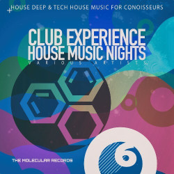 Club Experience: House Music Nights, Vol. 6  