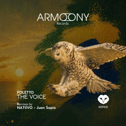 The Voice