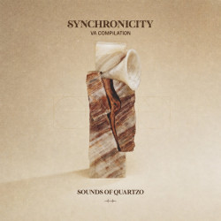 Synchronicity