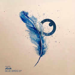 Blue Birds 