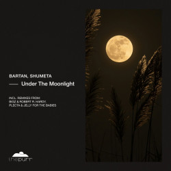 Under The Moonlight