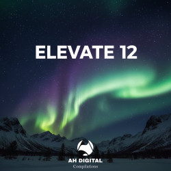 Elevate 12