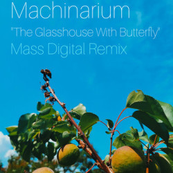 The Glasshouse With Butterfly (Mass Digital Remix)