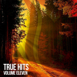 True Hits, Vol. 11