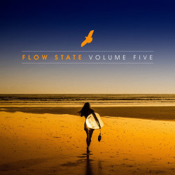  Flow State, Vol. 5