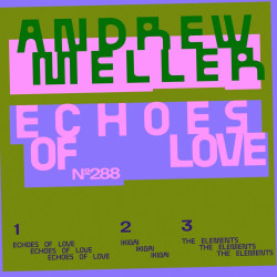 Echoes Of Love
