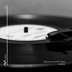 Analog