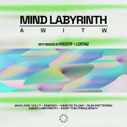 Mind Labyrinth