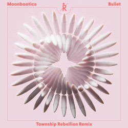 Bullet (Township Rebellion Remix)