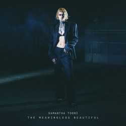 The Meaningless Beautiful