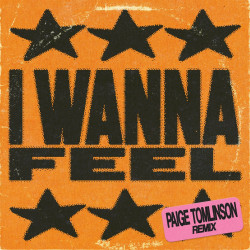 I Wanna Feel (Paige Tomlinson Remix)