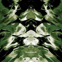 Primal Motion