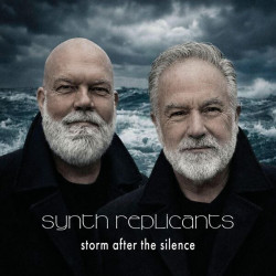 Storm After The Silence