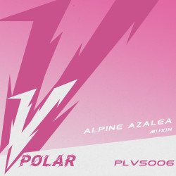 Alpine Azalea