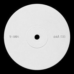 Y-3004