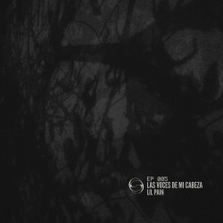 Las voces de mi cabeza