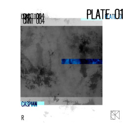PLATE 01
