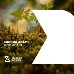 Rise Again