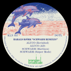 SCHWARM Remixes