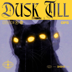 Dusk Till Dawn 