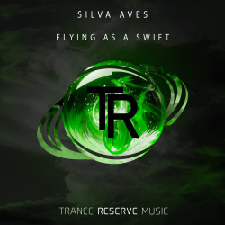 Flying As A Swift