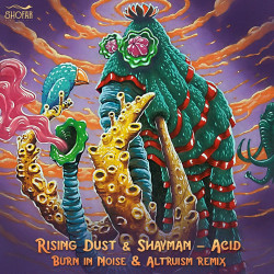 Acid (Burn In Noise & Altruism Remix)