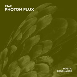 Photon Flux