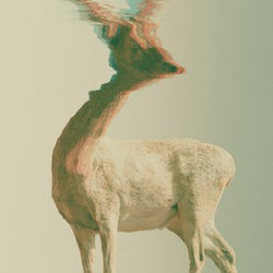 The Deer