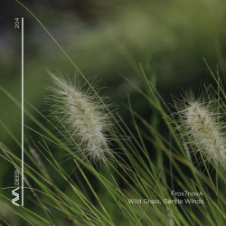 Wild Grass, Gentle Winds