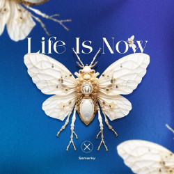Life Is Now 